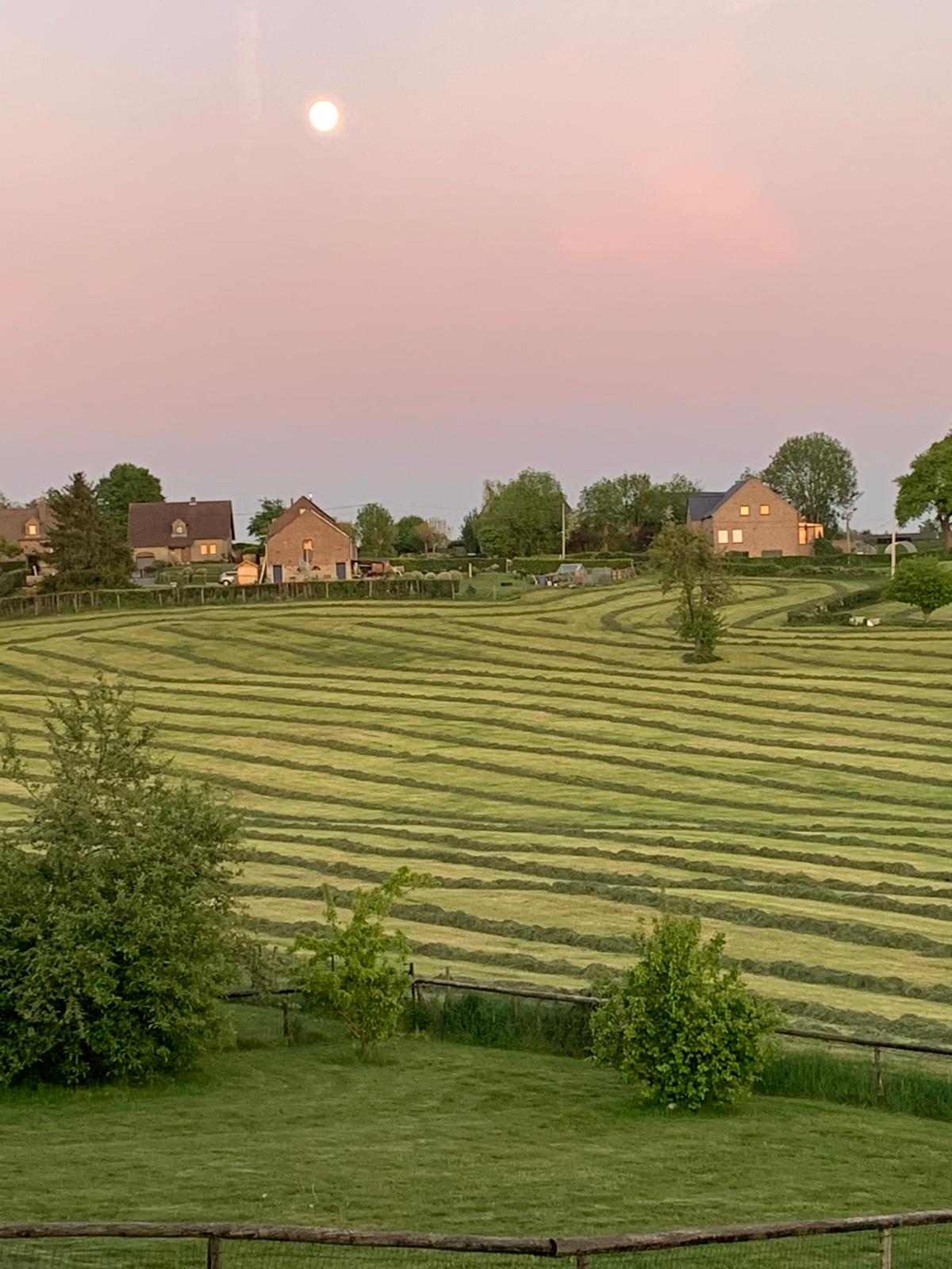 Vue extérieure
