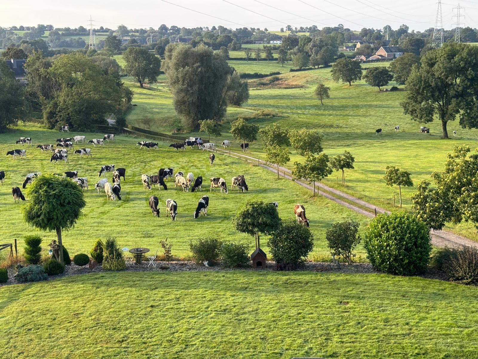 Vue extérieure